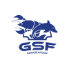 logo gsf-03