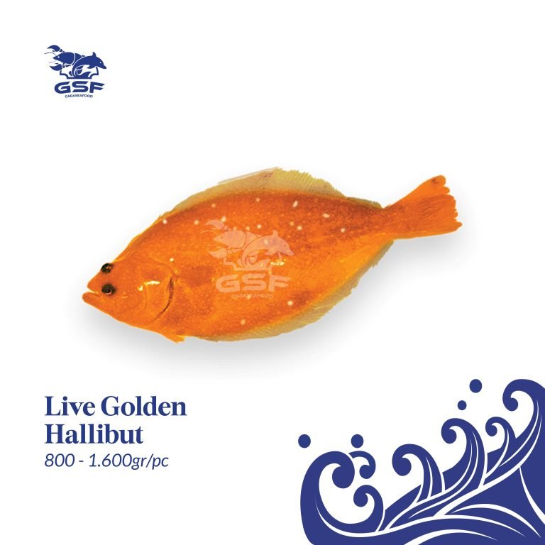 Katalog Shopee ver 2-02 Golden Halibut