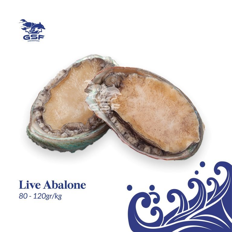 Katalog Shopee ver 2-04 Abalone
