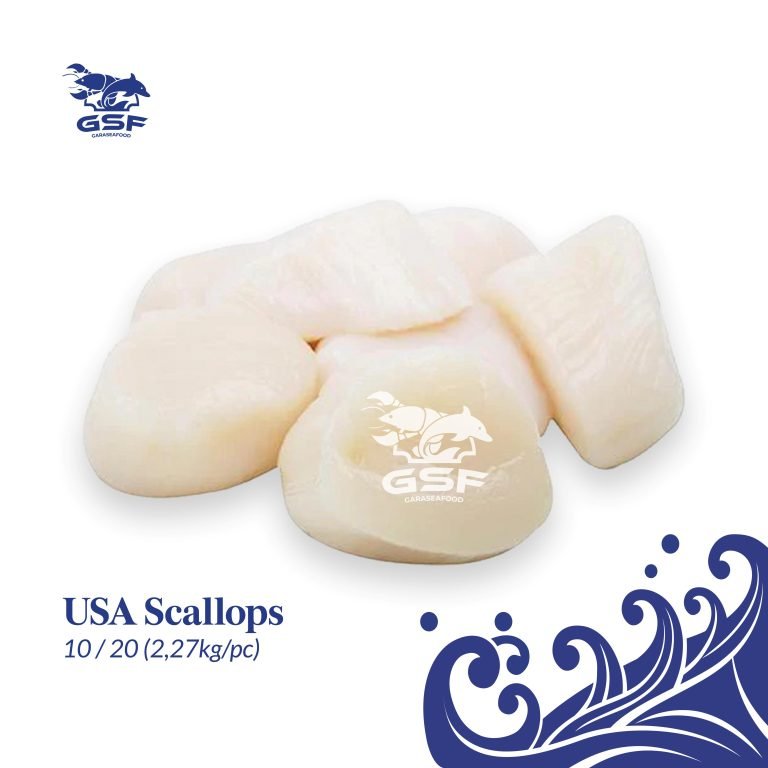 Katalog Shopee ver 2-07 USA Scallob