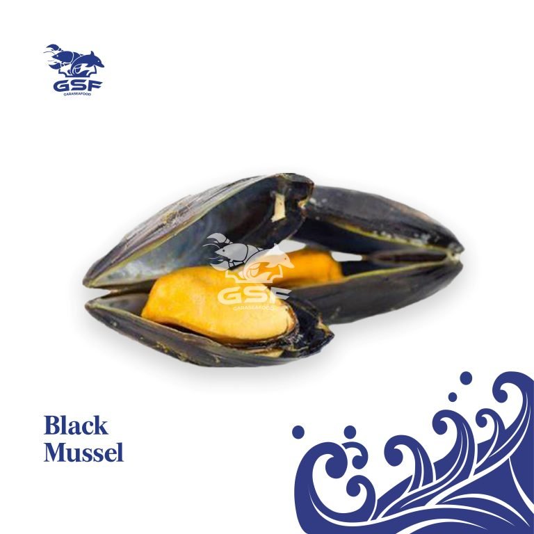 Katalog Shopee ver 2-08 Black Mussel