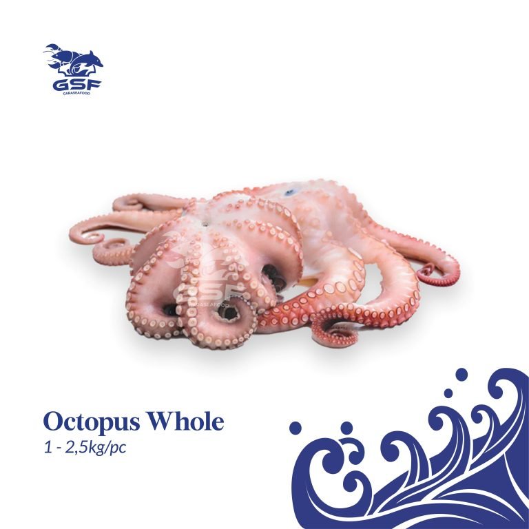 Katalog Shopee ver 2-15 Octopus Whole