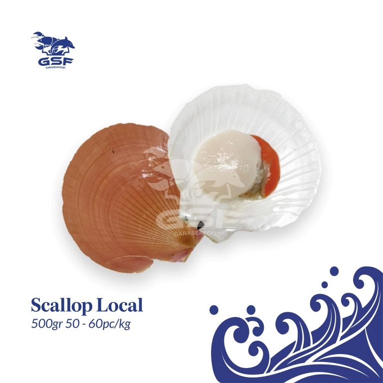 Katalog Shopee ver 2-17 Scallop Local